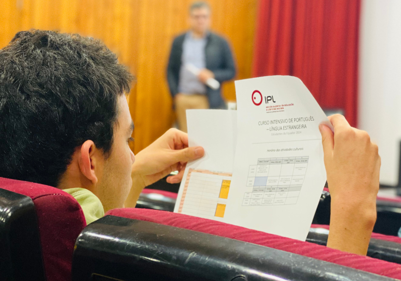 Gráfico sobre el aprendizaje de portugués europeo